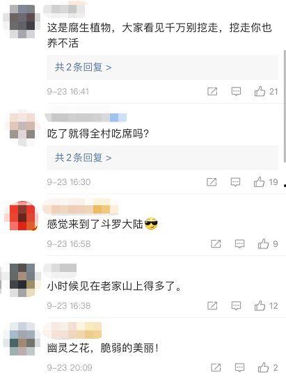 热点视频如何转发爆料,如何高效转发爆料，助力真相传播