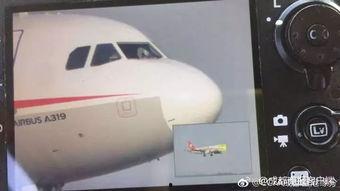德威航空爆料事件视频播放,揭秘行业黑幕与真相